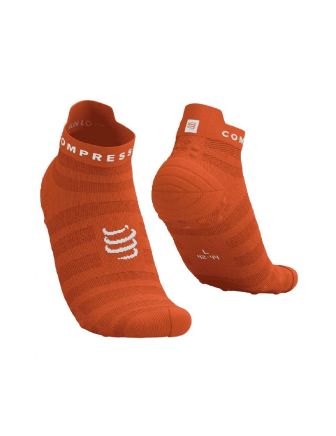 PRO RACING SOCKS V4.0 ULTRALIGHT RUN LOW